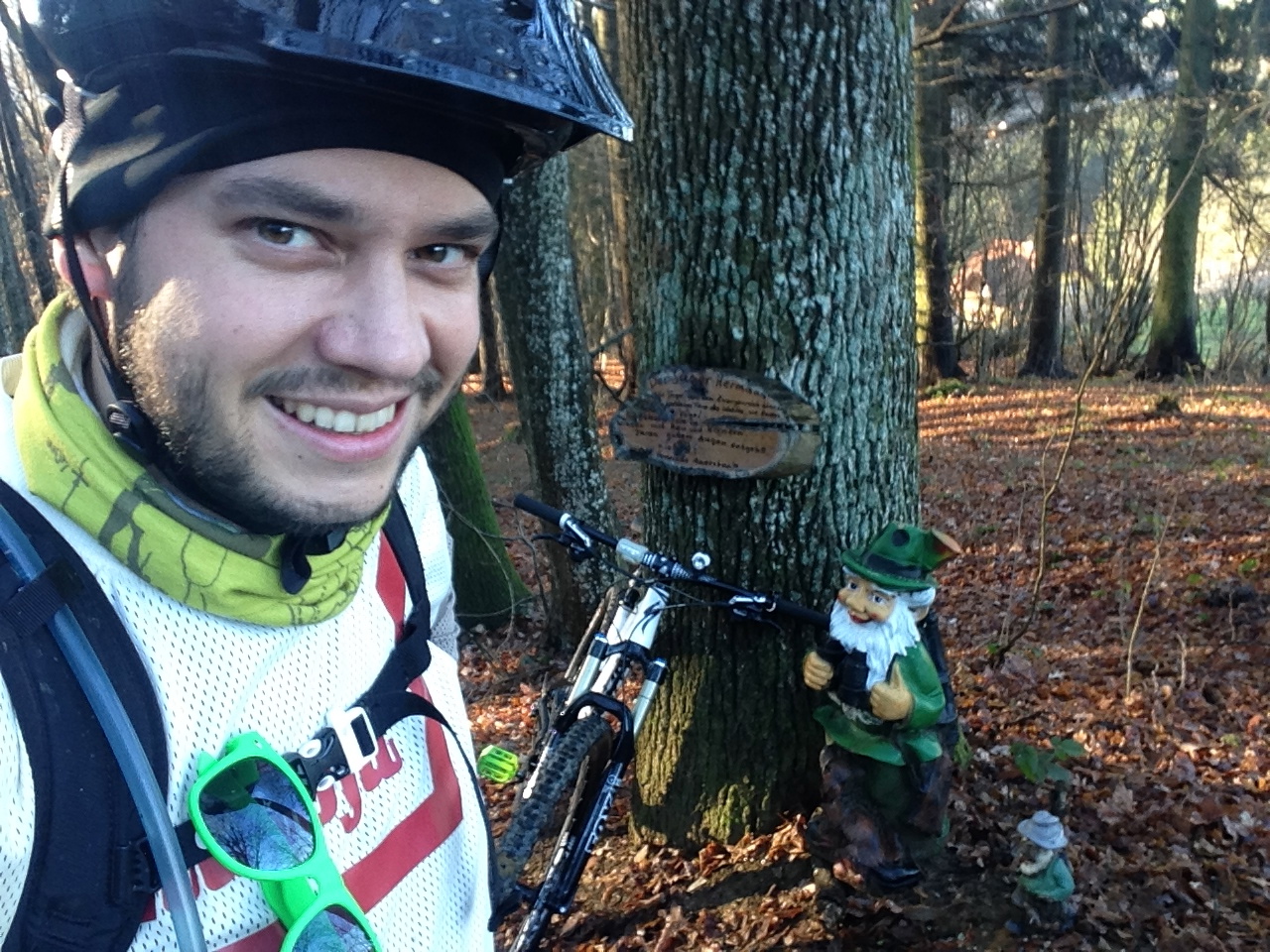 SPECIALIZED Stumpjumper FSR Elite 29 