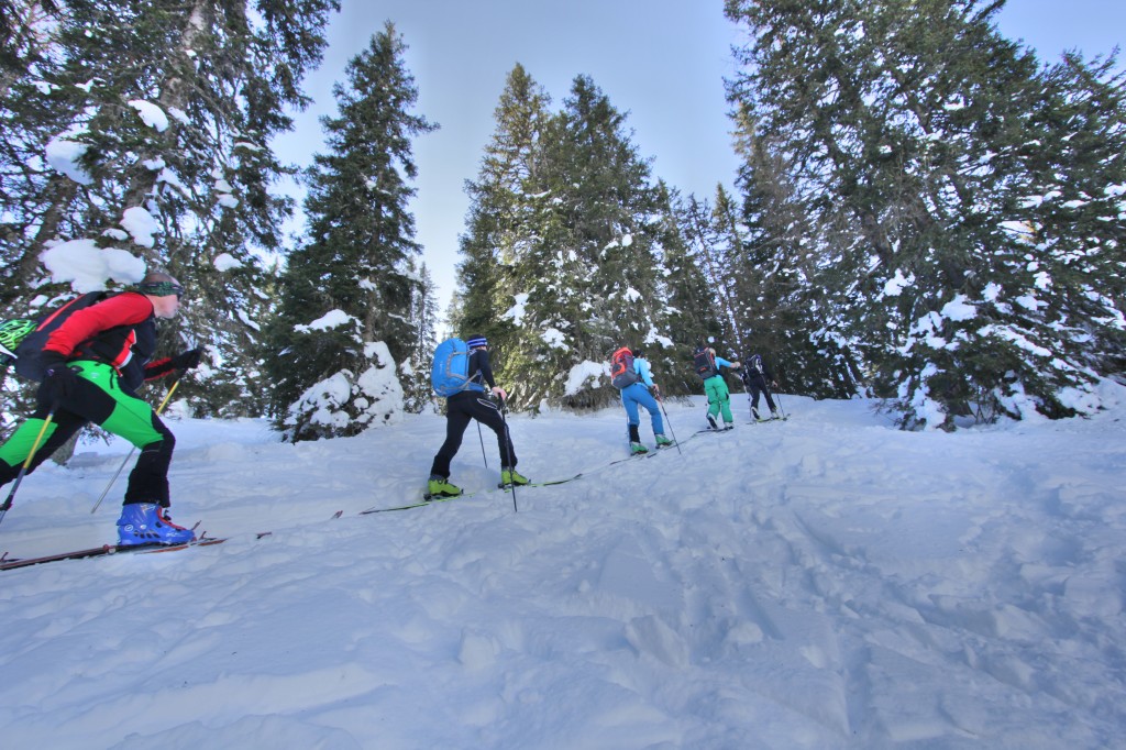 lahngangparty-skitour-lahngangkogel-fasching-skitour-steiermark-admont-trieben-bikefex-pedalritterinnen_9387