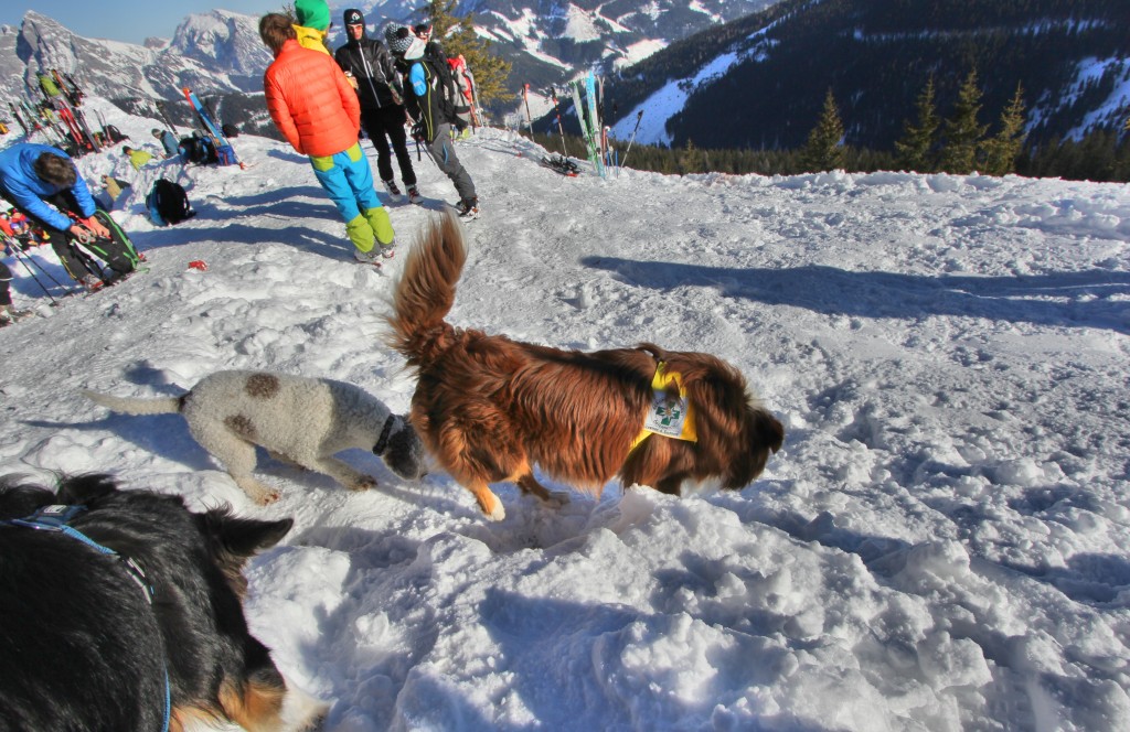 lahngangparty-skitour-lahngangkogel-fasching-skitour-steiermark-admont-trieben-bikefex-pedalritterinnen_9503