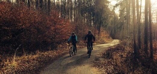 plabutsch_buchkogel_mountainbike_graz_pedalritterinnen