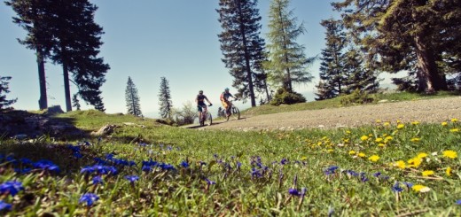 schoeckl-trail-area-enduro-freeride-mountainbike-bike-MTB_035-750x500